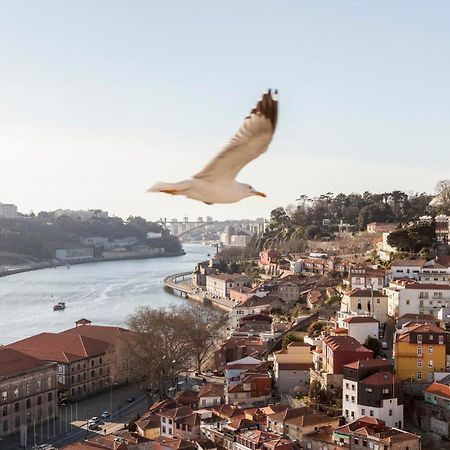 Citybreak-Apartments Douro View Porto Kültér fotó