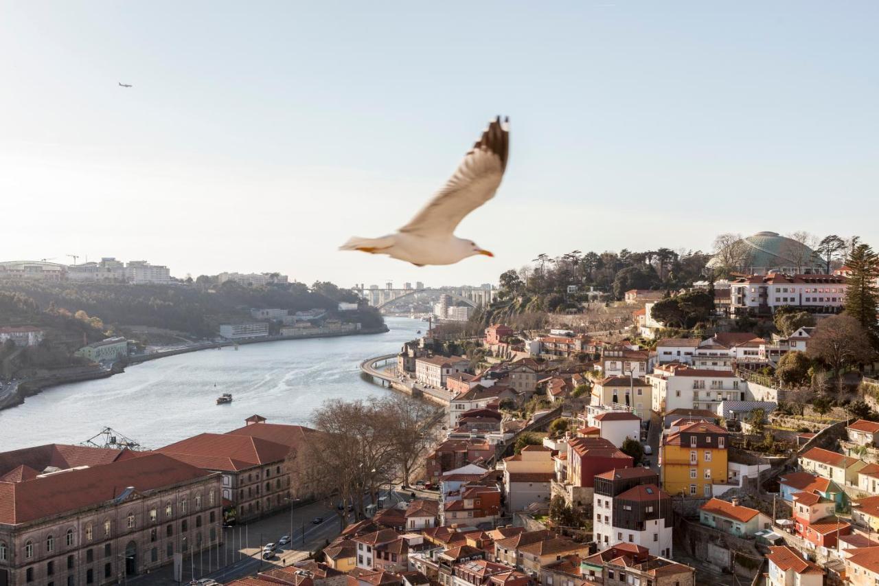 Citybreak-Apartments Douro View Porto Kültér fotó